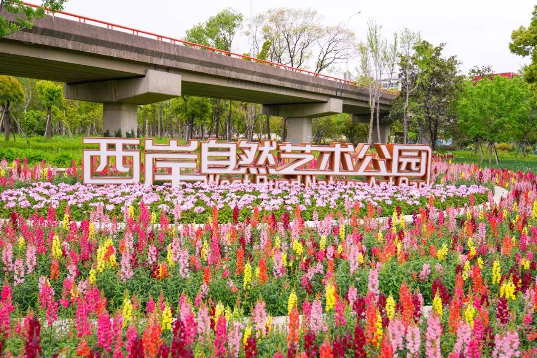 重磅福利！旅遊日來徐匯，一半風景一半免費