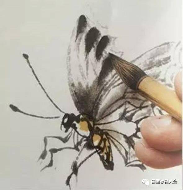 蝴蝶國畫好素材，張張入畫！（附教程）