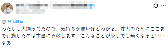 中日女性拼命為去世狗狗追兇，卻被網暴吃“狗血饅頭”？“狗是畜生而已”…