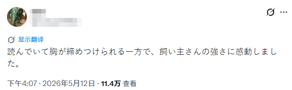 中日女性拼命為去世狗狗追兇，卻被網暴吃“狗血饅頭”？“狗是畜生而已”…