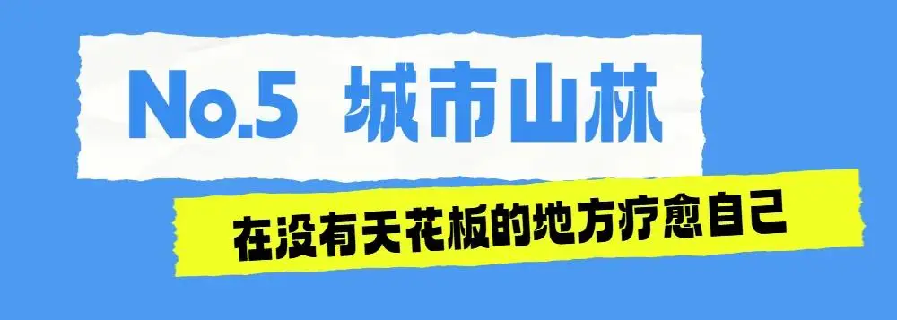 重磅福利！旅遊日來徐匯，一半風景一半免費