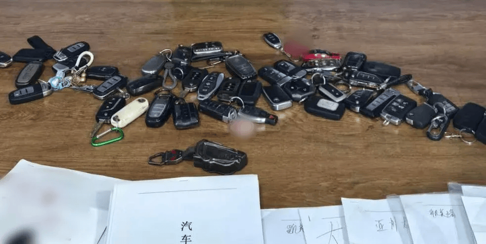 25臺租賃車集體“失聯”！瀋陽警方破獲系列租車詐騙案