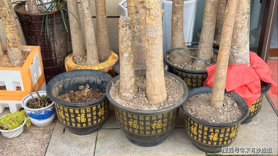 原創搬家累到崩潰才醒悟：這5樣東西，下次搬家前直接扔！