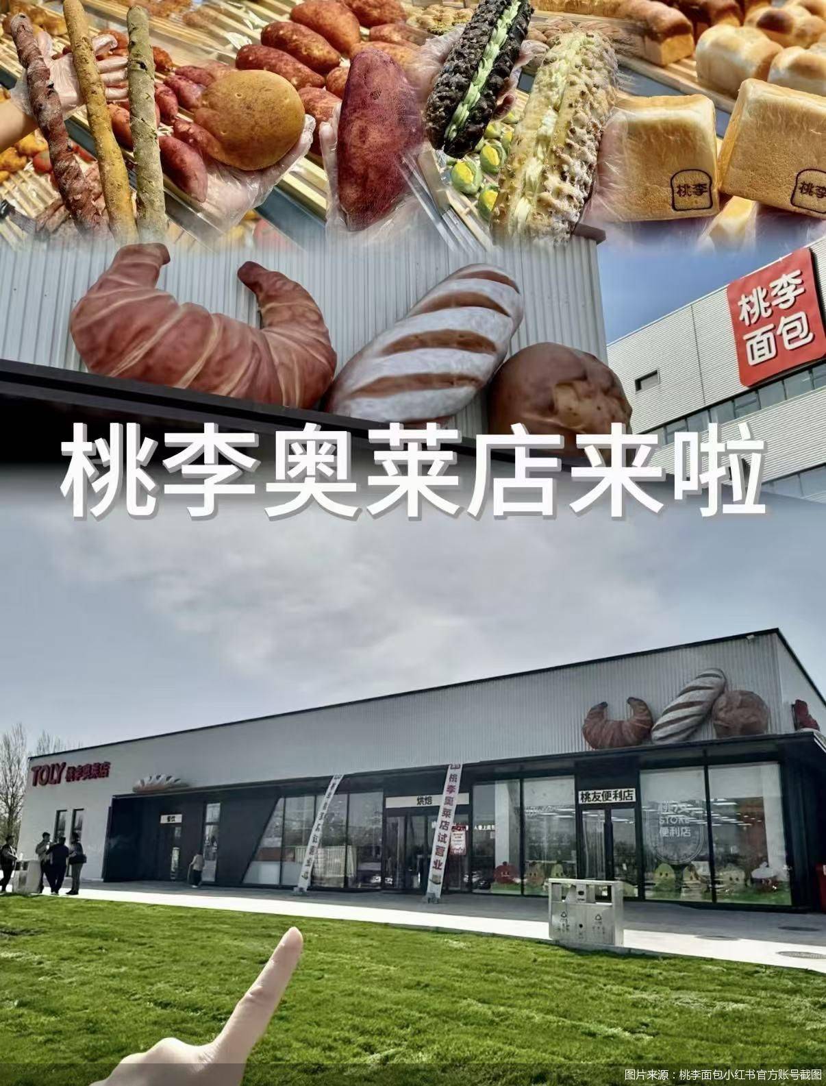 從商超貨架到現烤門店，桃李麵包勝算幾何