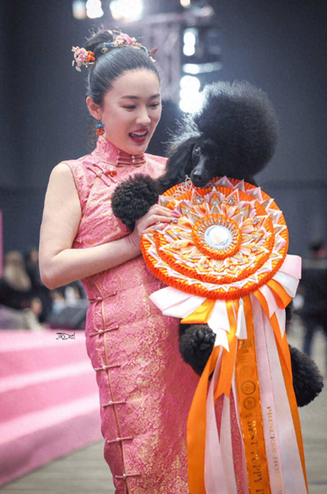 原創45歲霍思燕近況曝光！學寵物美容太用心，杜江拎肉夾饃緊跟身後