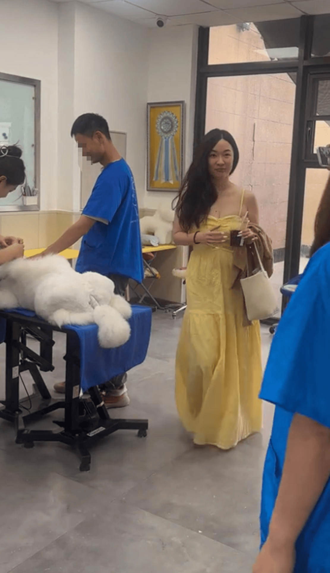 原創45歲霍思燕近況曝光！學寵物美容太用心，杜江拎肉夾饃緊跟身後