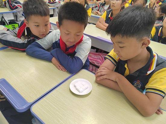 原創臨沂金盾小學開展全民營養周主題活動