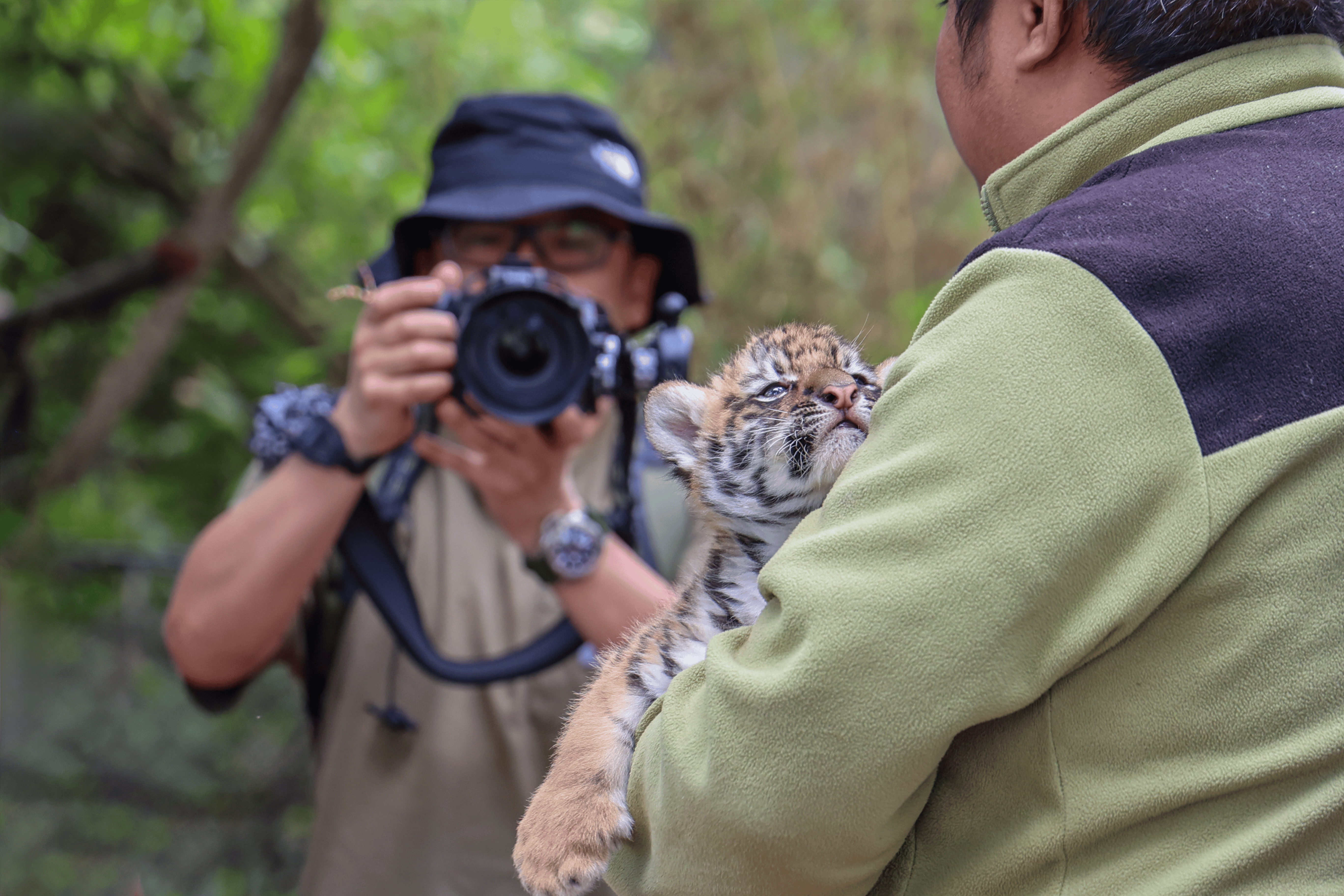 雲南野生動物園邀南亞東南亞留學生共繪生物多樣性藍圖