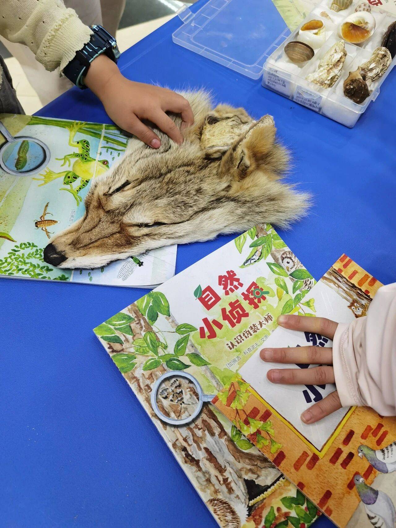 把自然搬進圖書館！當一回“自然小偵探”