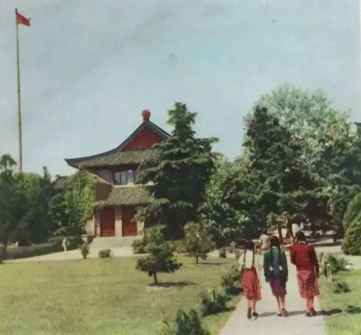 “九校同源”：院系調整前後的南京大學