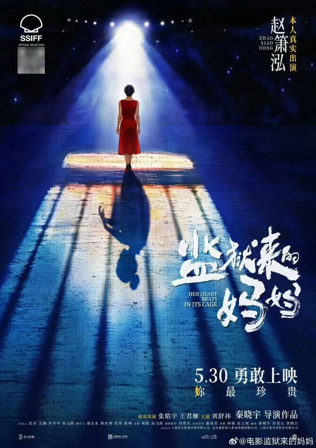 考研名師湯家鳳靈魂拷問《監獄來的媽媽》：服刑期間憑藉哪部法律參與拍攝？犯罪分子竟然可以美化成英雄，滑稽不？