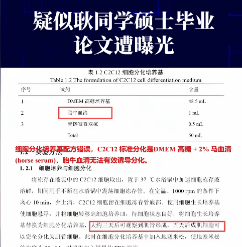 原創針對耿同學的反擊開始了，有人質疑碩士畢業論文疑似全部造假！