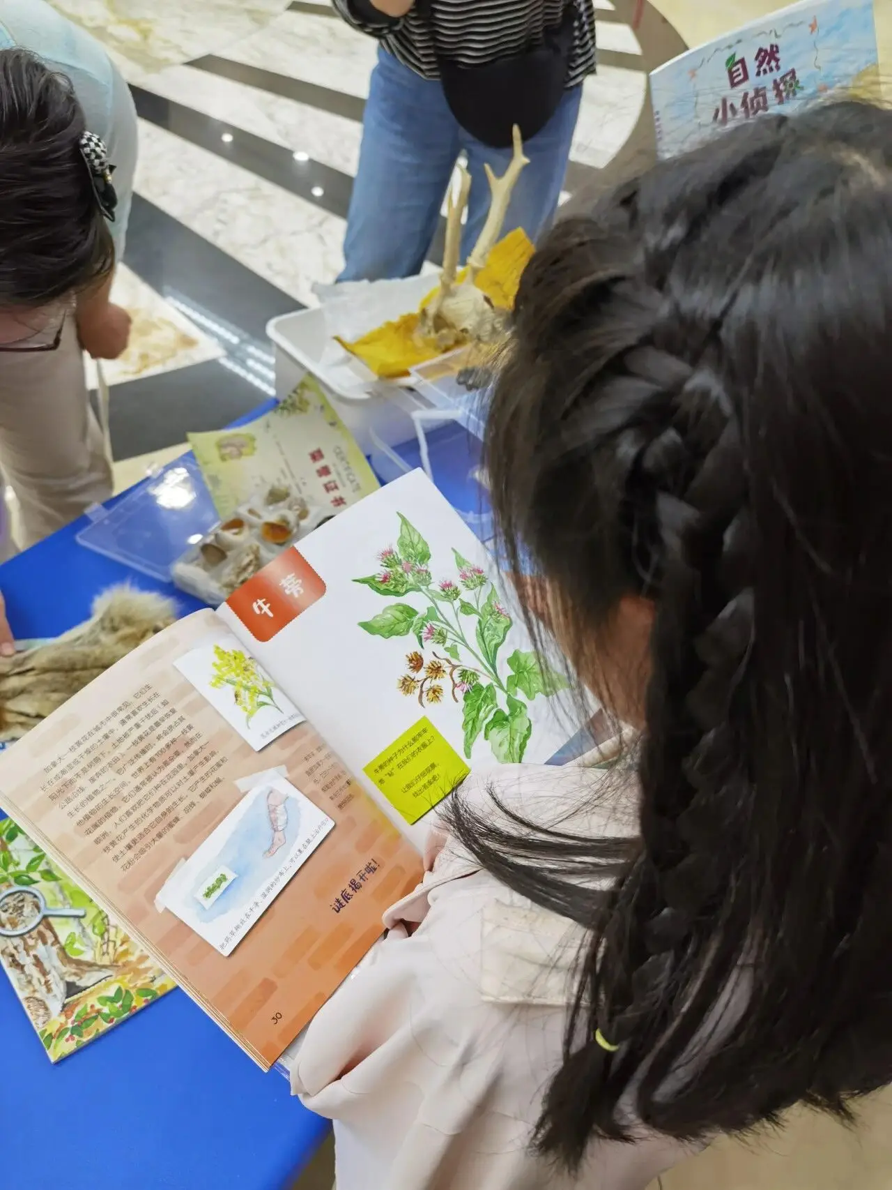 把自然搬進圖書館！當一回“自然小偵探”