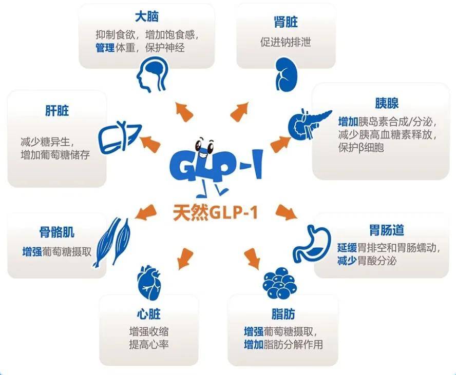 原創“血糖焦慮”的年輕女性，為什麼越努力越疲憊？