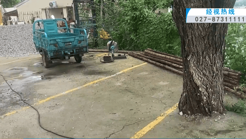 武漢東湖風景區多棵大樹被水泥封住引市民擔憂，商戶：此前沒注意，現在立即整改；相關部門將派人現場檢視
