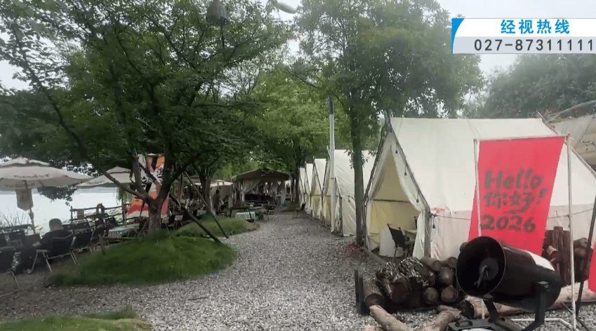 武漢東湖風景區多棵大樹被水泥封住引市民擔憂，商戶：此前沒注意，現在立即整改；相關部門將派人現場檢視