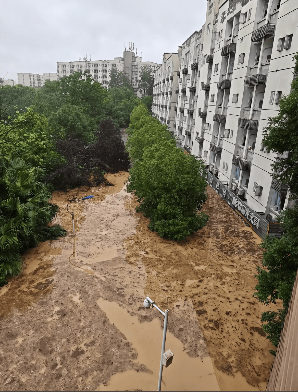 連線重慶永川特大暴雨親歷者：私家車泡水報廢，所在大學停課