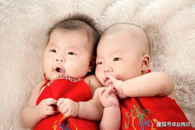 燕姓寶寶，龍鳳胎起名案例