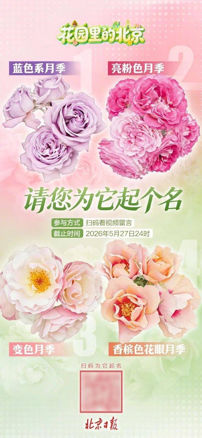 “尋找起名小天才”，北京市4款新品月季邀公眾命名，活動今日正式開啟