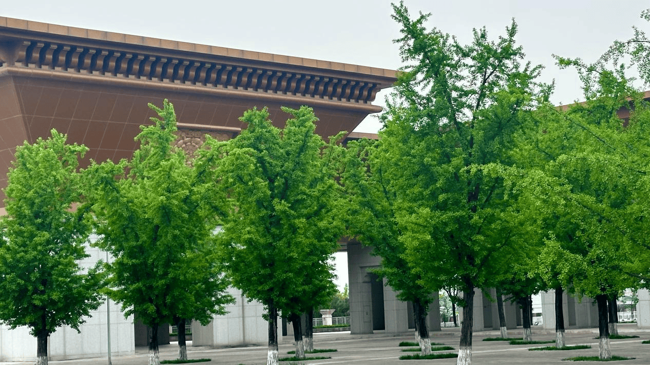 收藏！法門文化景區超全打卡機位指南，隨手拍出氛圍感大片