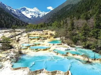 生物多樣性，只靠科技行嗎？
