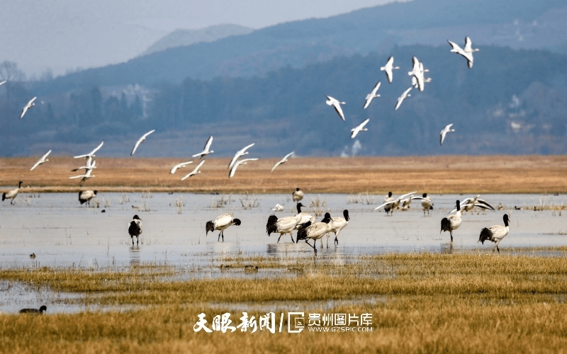 旅遊變旅居｜這些高原湖泊 讓你感受水美貴州