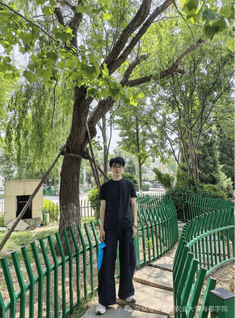 青島農業大學海都學院這些宿舍，全員考研成功！