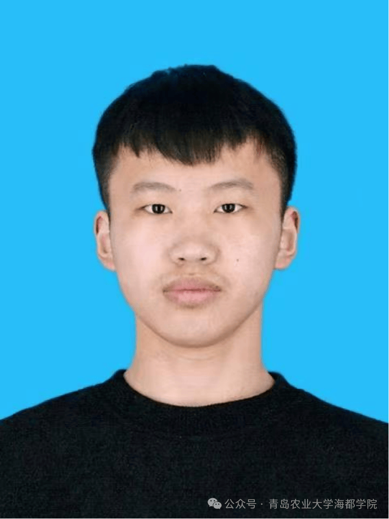 青島農業大學海都學院這些宿舍，全員考研成功！
