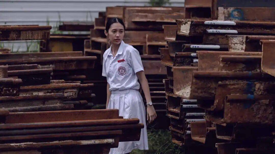 我們正在見證幾千年教育壓迫的惡果
