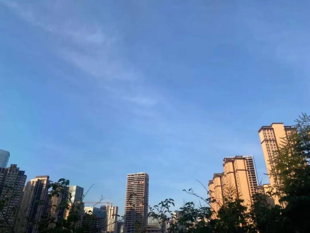 成為媽媽後，她們撿起課本，備考研究生
