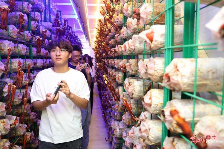 把論文寫在大地上 將青春融進家國裡