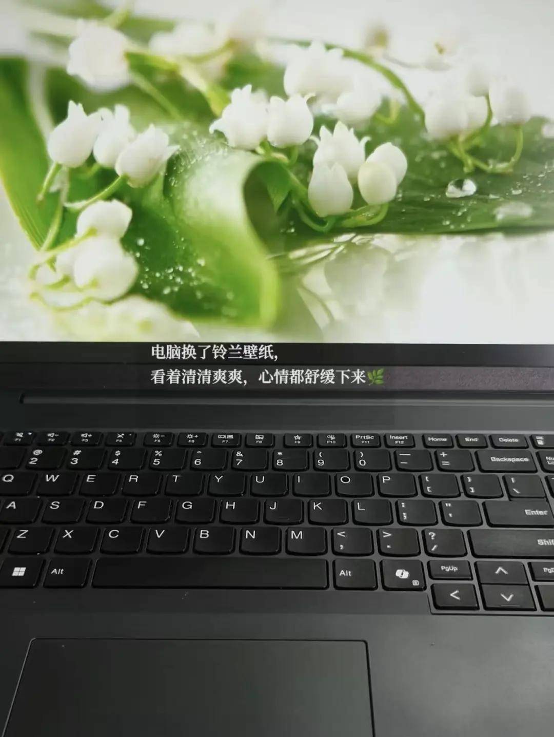 成為媽媽後，她們撿起課本，備考研究生
