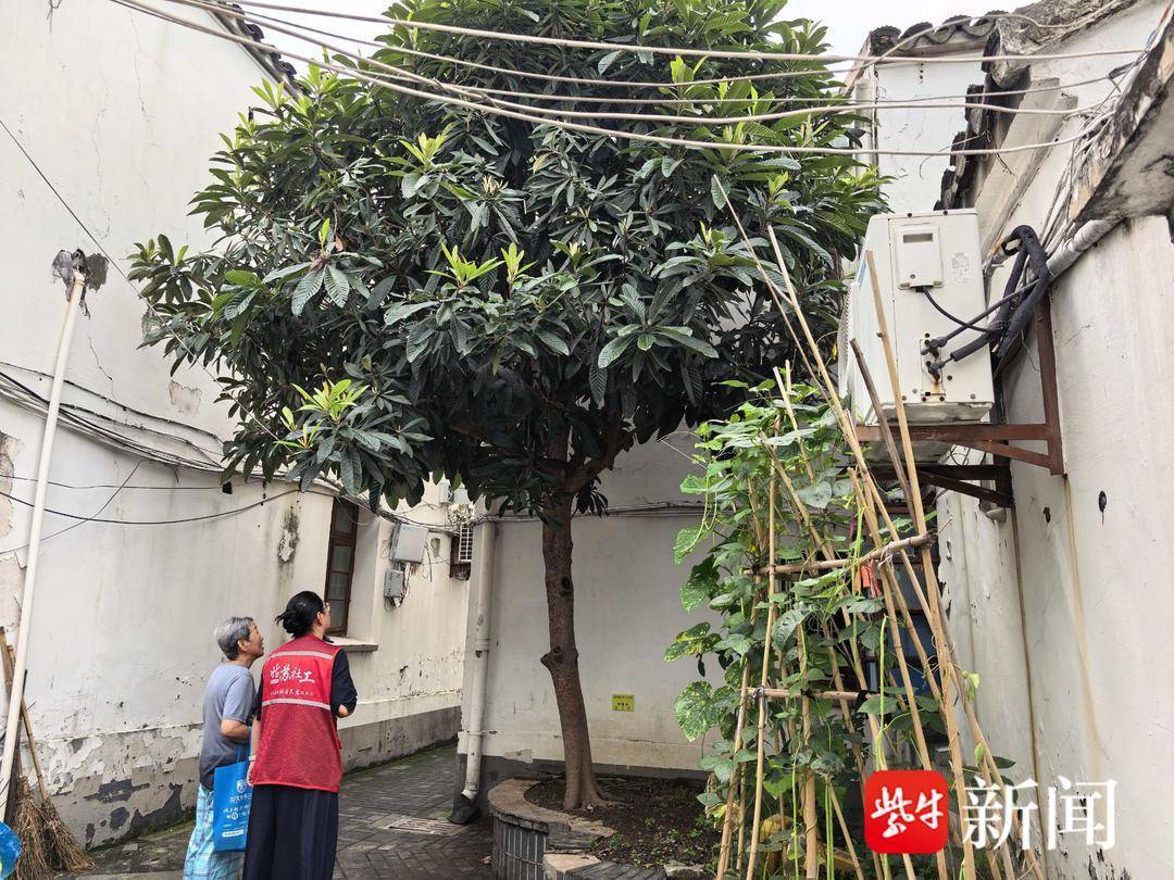 修剪擾民樹木，社羣快速響應居民訴求