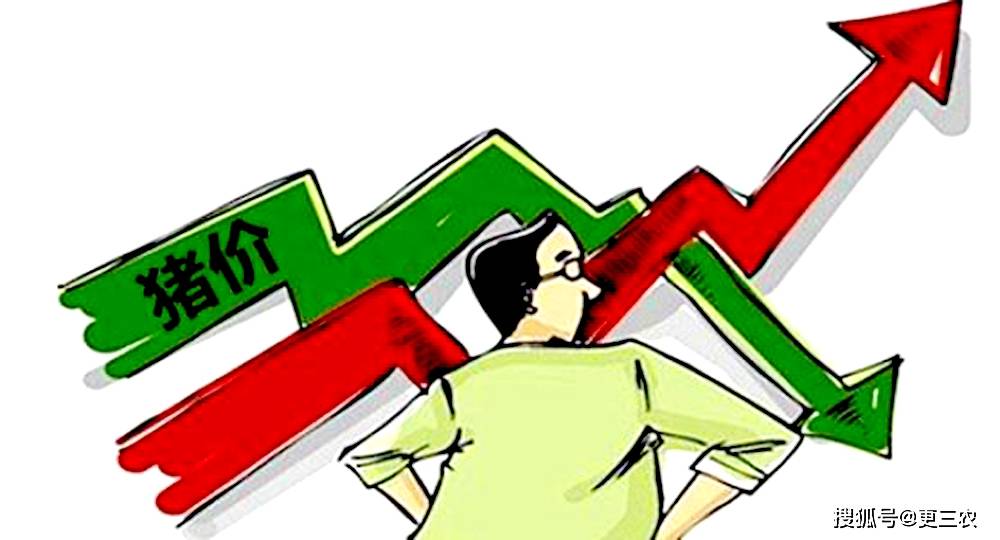 原創大跌4.8%，豬價“超預期”下跌！“地板線”是多少？附：8月28日豬價