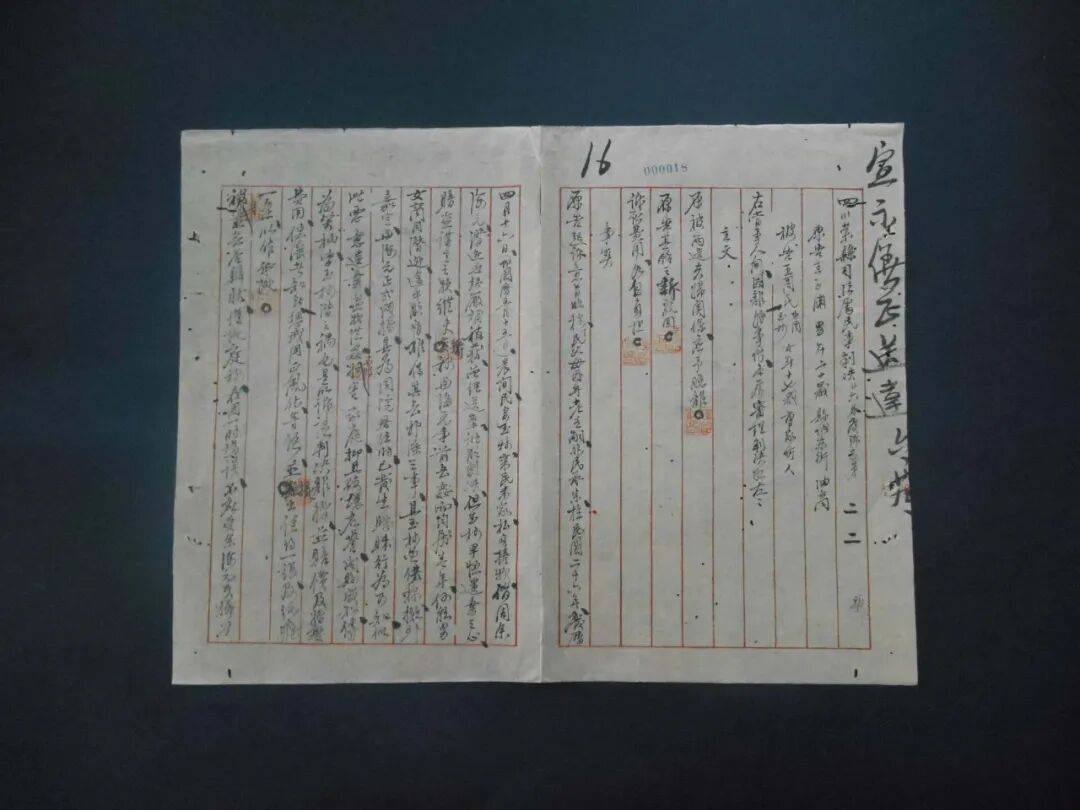 劉楷悅：從遞訴狀到髮長文，百年女性權利切片