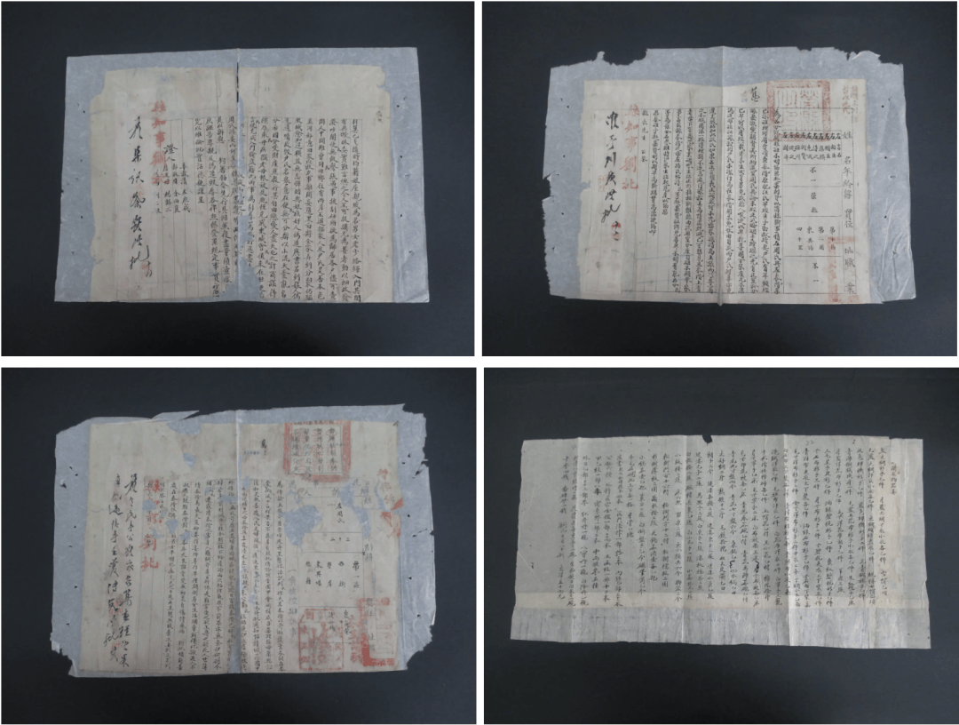 劉楷悅：從遞訴狀到髮長文，百年女性權利切片