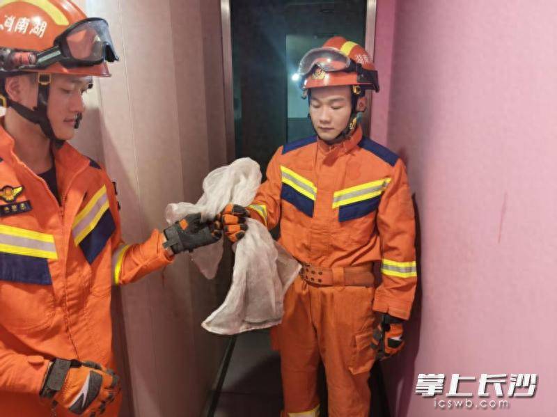 原創健身房蛇出沒！天心消防快速處置