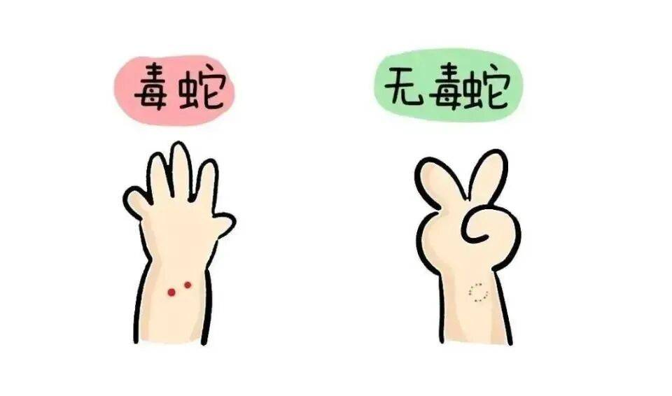 88歲奶奶在家門口遇到眼鏡蛇，一腳踢過去反被蛇張口咬傷