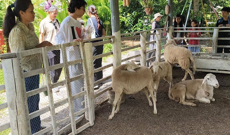 從荒地到生態旅遊熱點：柬埔寨蘇卡拉威村的華麗蛻變