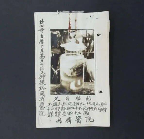 劉楷悅：從遞訴狀到髮長文，百年女性權利切片