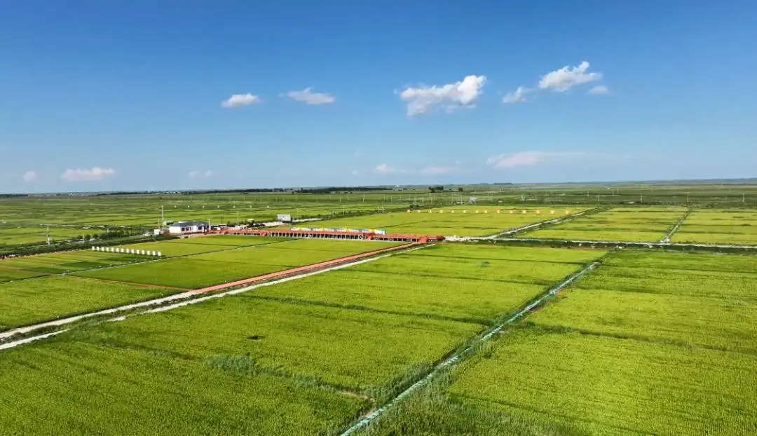 你的快遞已發貨，發貨地：吉林