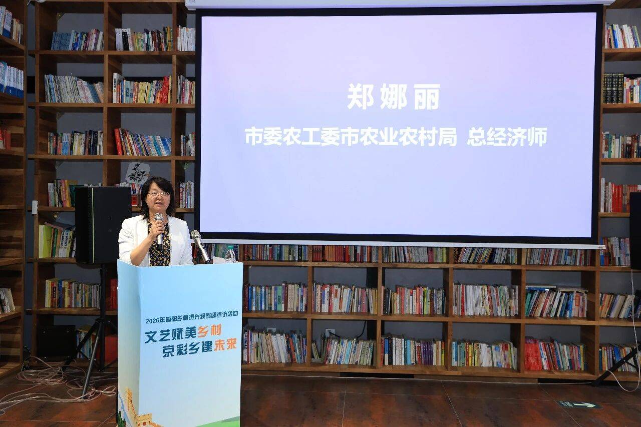首都鄉村振興觀察團在京成立 首場活動落地懷柔“動漫谷”