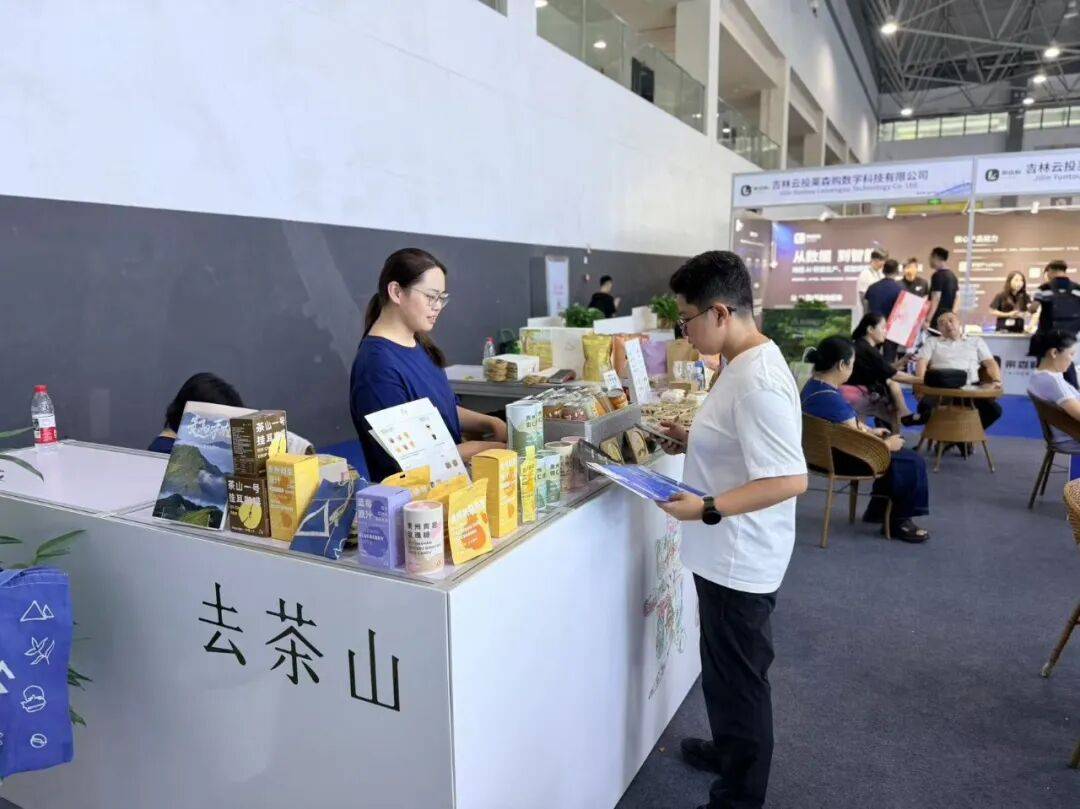 聚焦2026數博會｜科技之外，“五精展區”精彩不斷