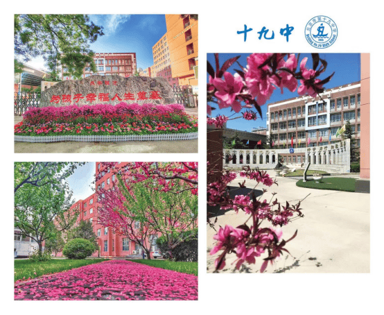 速看！海淀8所中學急需崗位