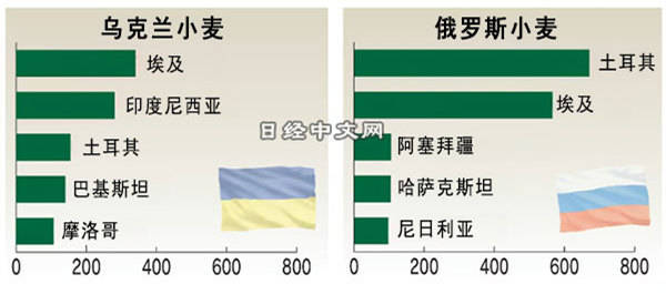 安東·尼爾曼：烏克蘭的小麥豐收了，但超市的貨架也空了