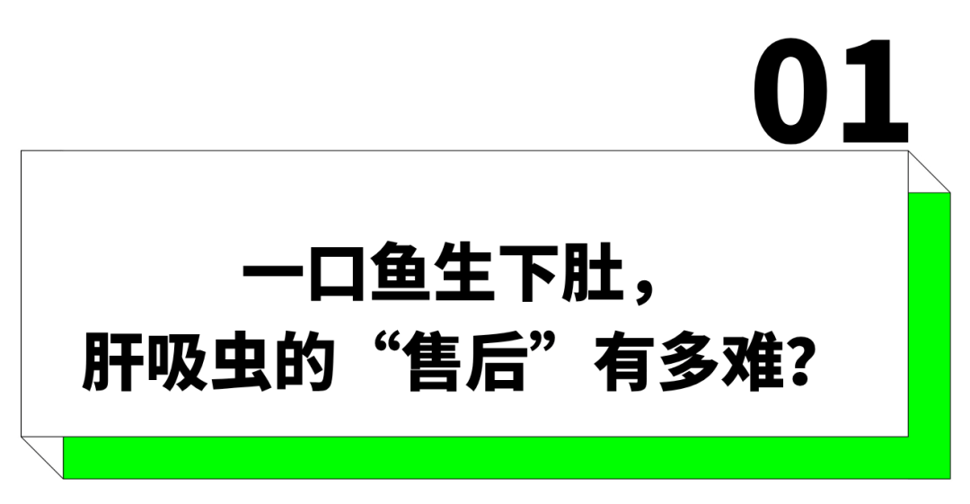 “吃一口跑6家醫院，全上海買不到藥”，這個越開越多的「兩廣美食」堪比炸彈盲盒？