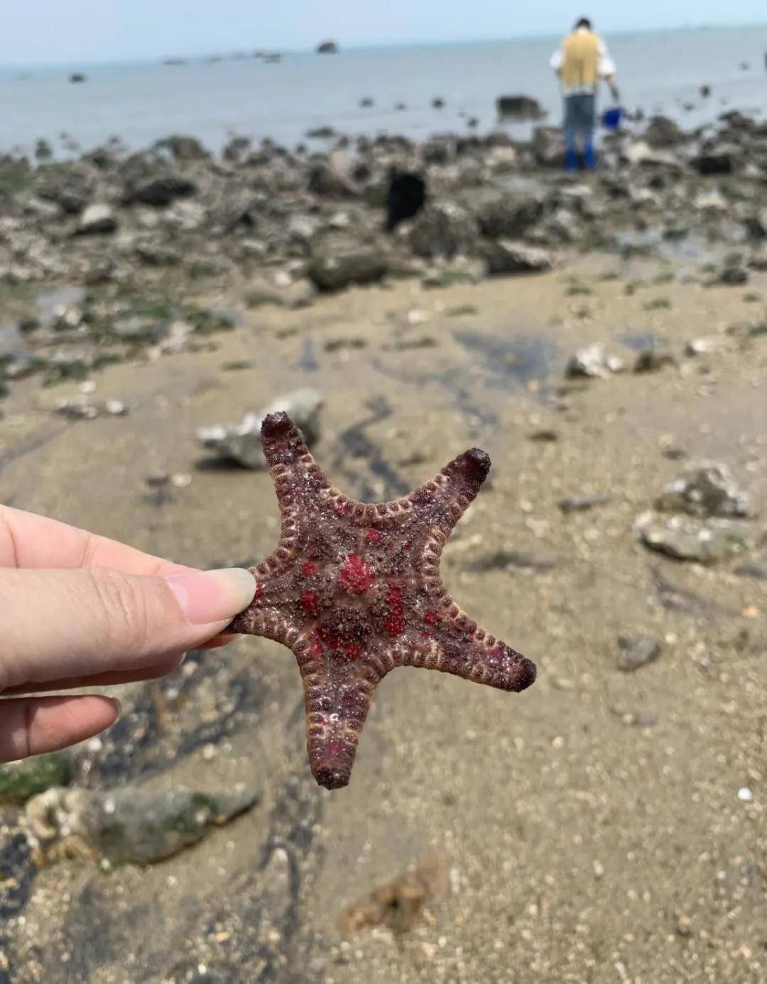 原創廈門小嶝島，當年是炮戰前線，後來成旅遊休閒村，如今處境很尷尬