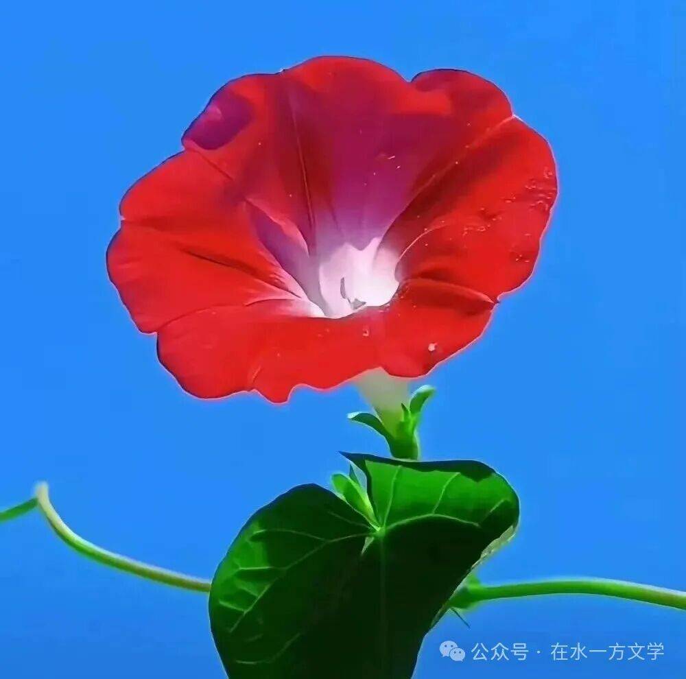 孟子為詩歌欣賞（二）