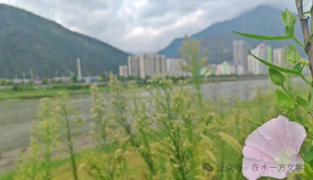 孟子為詩歌欣賞（二）
