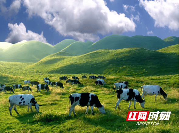 城步入選旅遊傳播力全國百強